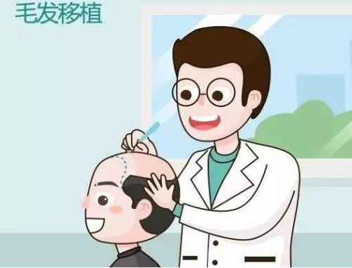 深圳有哪些毛发种植的医院